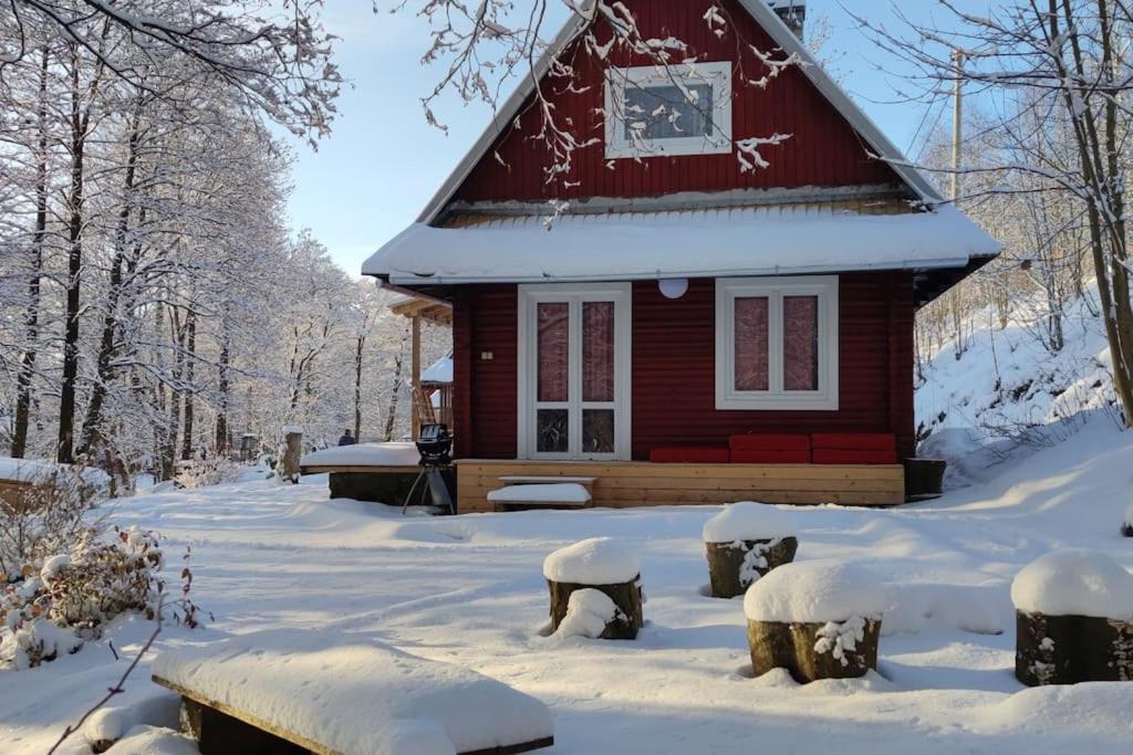 Chatky u potoka, Olešnice v Orlických horách Exteriér fotografie